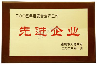 荣誉资质